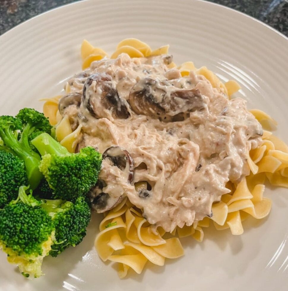 plated easy slow cooker creamy chicken dinner with egg noodles and broccoli