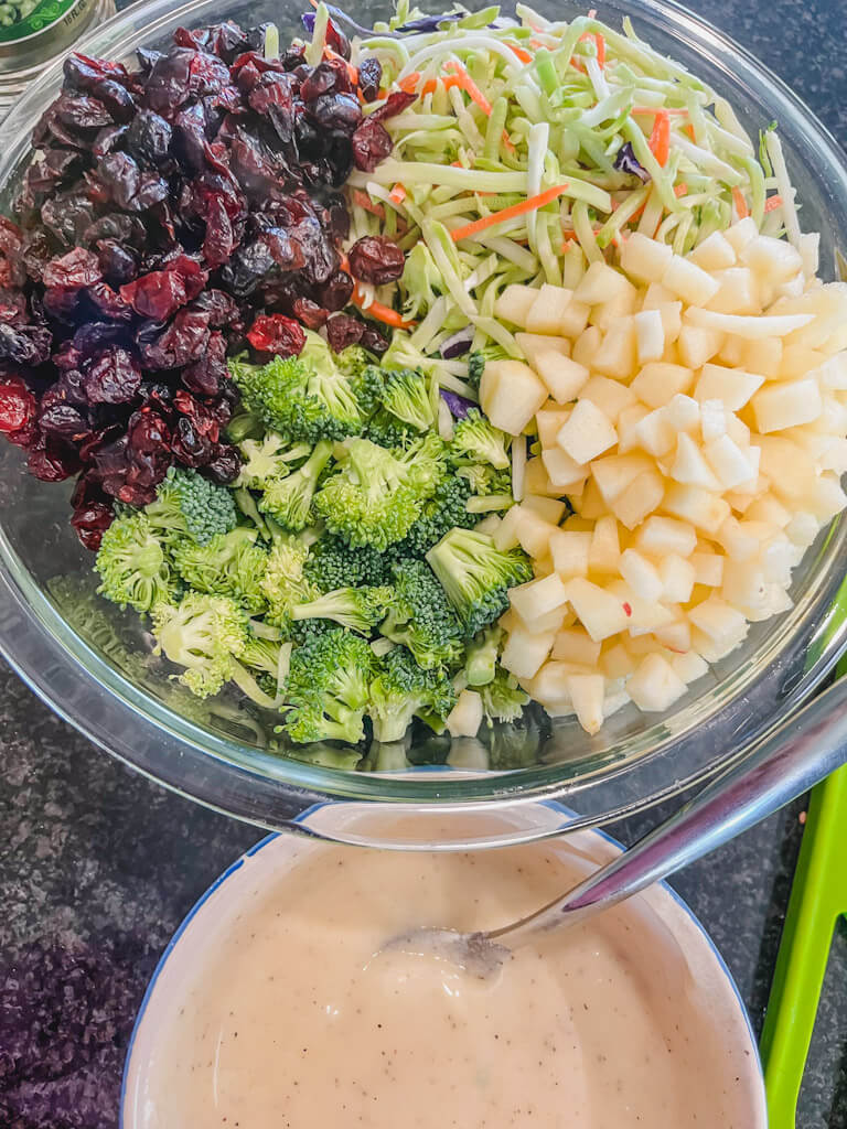 diced apples, cranberries, broccoli slaw, broccoli florets, and tangy dressing ready to be mixed together.