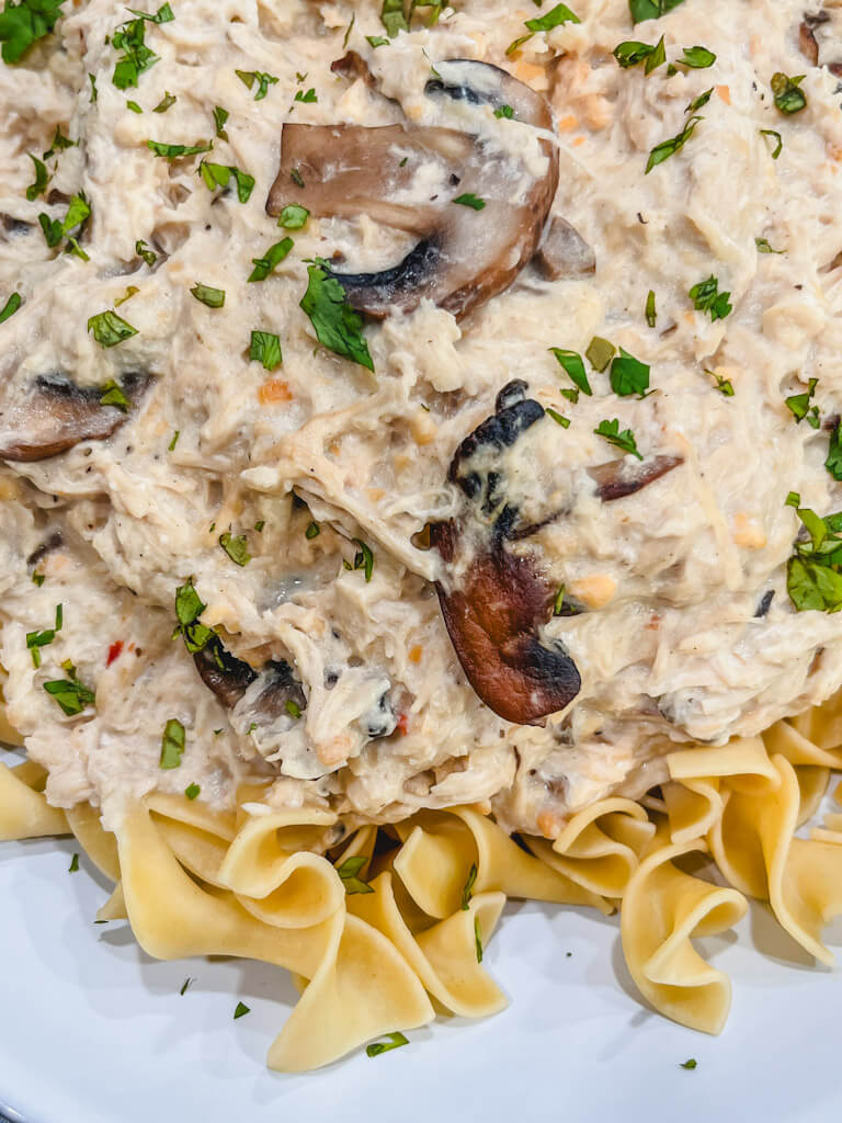 close up of creamy chicken on cooked egg noodles on a serving dish.