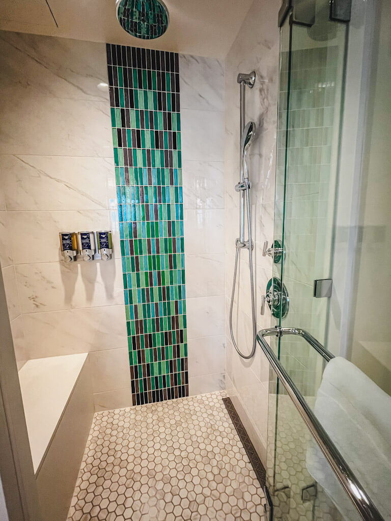 walk-in shower in the extra guest bathroom.