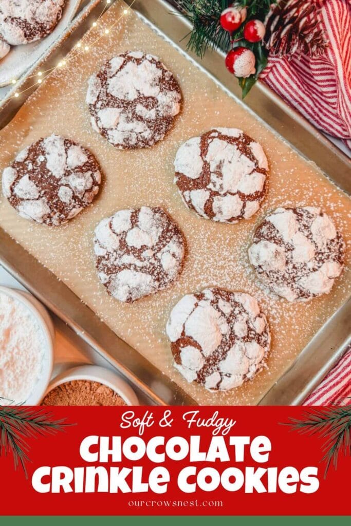 overhead view of chocolate crinkle cookies